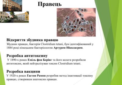 Слайд4