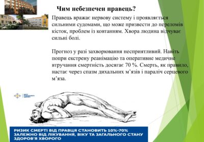 Слайд5